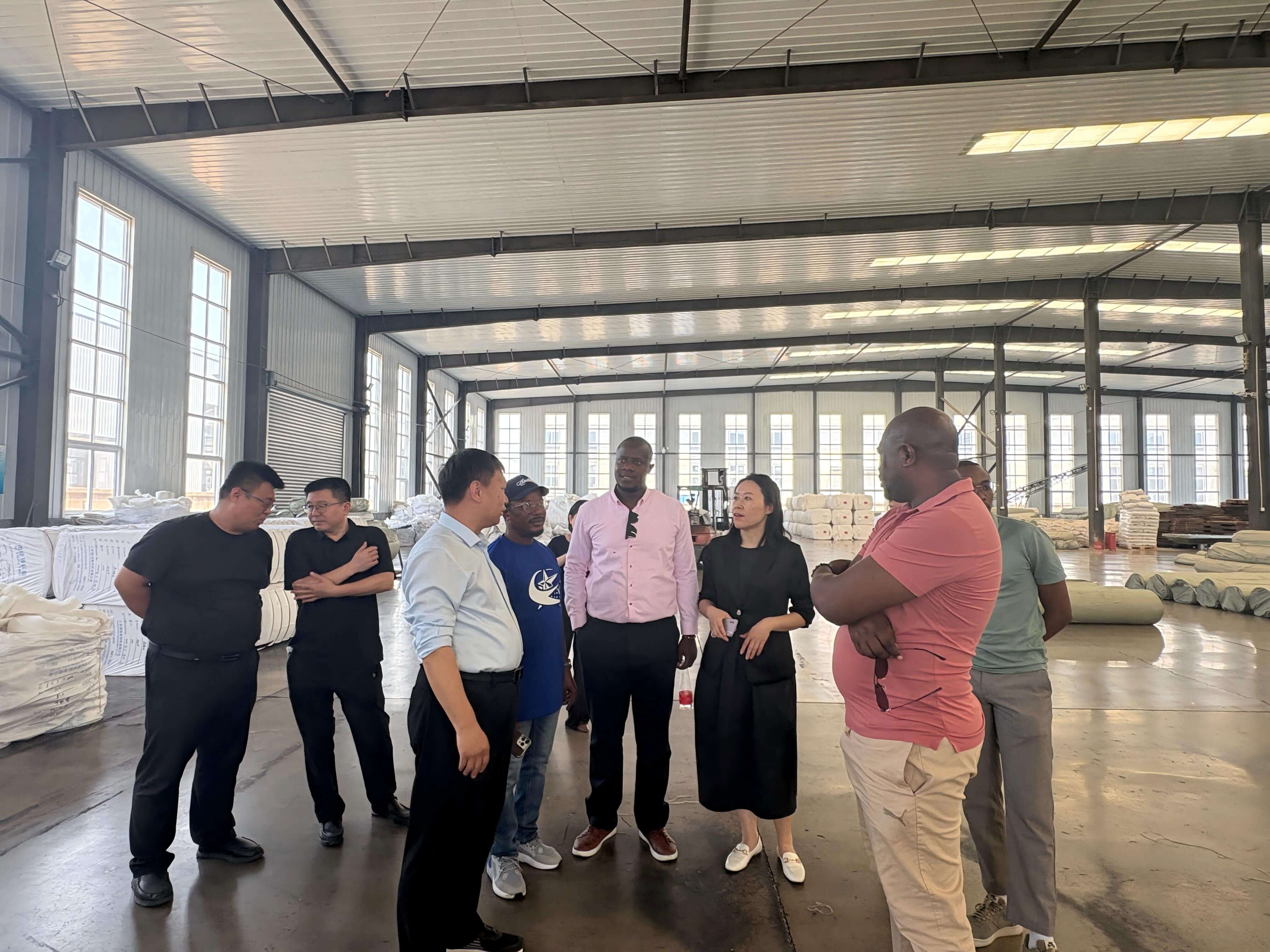 Sino-African Enterprises Connect in Hengshui to Explore New Energy and Manufacturing Cooperation Opportunities